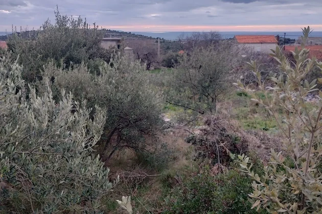 Sevid, Zaselo, terreno edificabile di 2375 m2, a 700 m dal mare e dalla spiaggia