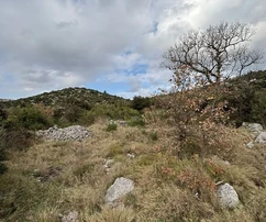 <p>Marina, 1261 m2-es építési telek építési engedéllyel, 190 m-re a tengertől</p>