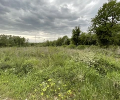 Istrien, Sveti Lovrec: Baugrundstück in der Nähe von Porec