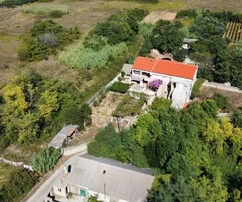 Family property with a beautiful olive grove and vineyard