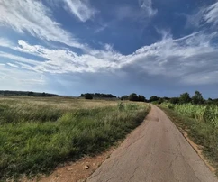 Grundstück Kaštelir, Kaštelir-Labinci, 32.619m2