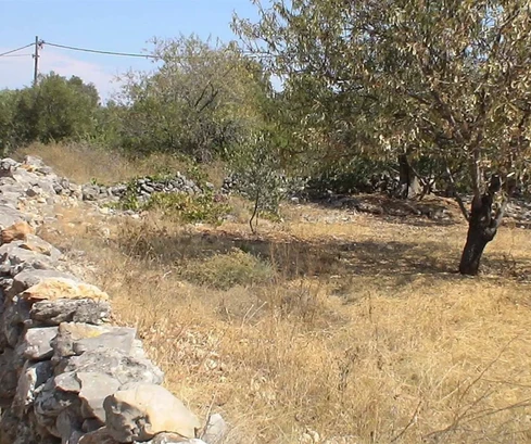 Drvenik Mali, działka budowlana 650 m2, 200 m od morza