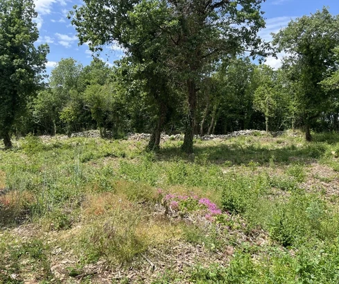 Istria, Heraki - Terreno edificabile di pregio vicino a Rovigno e Parenzo