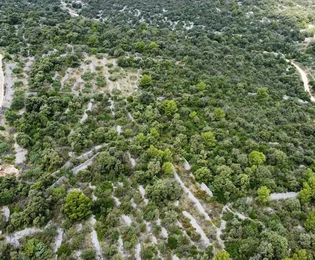 <p>Vinišće, poľnohospodárska pôda 1523 m2, prístupová cesta, 500 m od mora</p>