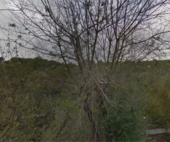 Čiovo, Okrug G., Mavaračica, stavebný pozemok 5050 m2, 250 m od mora