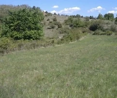 <p>Grand terrain, environs élargis de Porec, emplacement calme.</p>