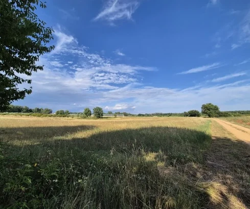 Działka Kaštelir, Kaštelir-Labinci, 32&nbsp;619&nbsp;m2