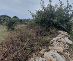 Grundstück in Bauzone (Erstellung eines UPU-Plans erforderlich) 650 m²
