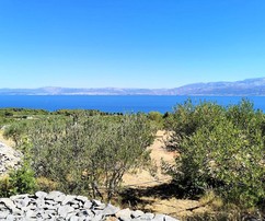 Maison en pierre de Brac et jardin d'oliviers avec vue sur la mer