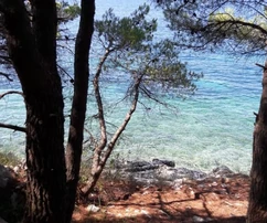 Einfamilienhaus nur 50 Meter vom Meer entfernt in Dubrovačko Primorje zu verkaufen in Kroatien