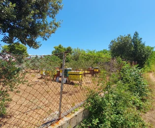 Terreno fuori dalla zona edificabile con strutture legalizzate