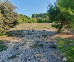 Terrenos agrícolas