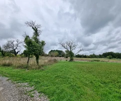 Pazin, Istria: Building plot with project near center