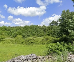 Višnjan, Istria – Terreni edificabili in vendita