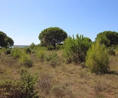 Terreno Bilotinjak zona T2 e T3 obbligo di redazione del piano UPU