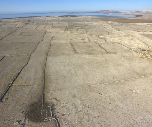 Terreno agricolo di dimensioni maggiori