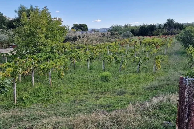 Kaštel Štafilić, terrain constructible de 3606 m2, juste à côté de la route, à 100 m de la mer