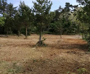 Isztria, Labin – Építési telek 2323 m2 befektetés