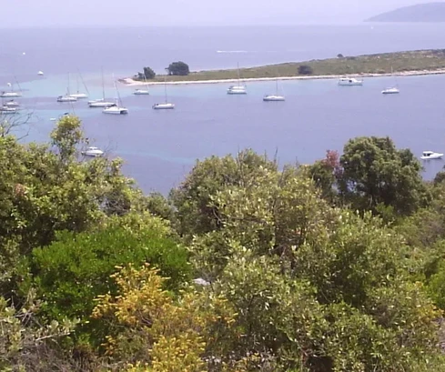 Drvenik Veli, terrain agricole de 4000 m2, près de la mer