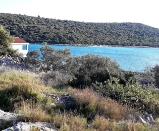 Vinišće, zatoka Stari Trogir, działka rolna 837 m2, pierwsza linia do morza