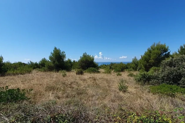 Poljoprivredno zemljište s pristupnim asfaltiranim putem