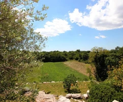 Kamienny dom z basenem na sprzedaż w Kanfanarze w Chorwacji