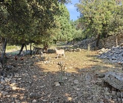 Domaine de campagne de Supetar avec terrain agricole à vendre
