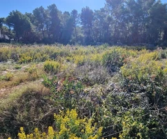 Čiovo, Quartier G, terrain constructible 1228 m2, PREMIÈRE LIGNE FACE À LA MER !!!