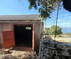 Supetron található birtok tágas mezőgazdasági területtel eladó