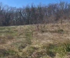 Dom Brtonigla, 150m2