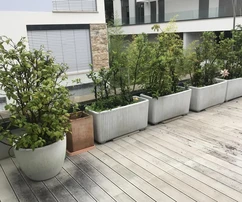 Penthouse mit Terrasse in Rovinj zu verkaufen in Kroatien