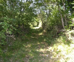 <p>Terreno agrícola en venta en Višnjan, Poreč – ideal para diversos usos.</p>