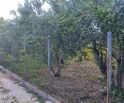 Kaštel Štafilić, terreno edificabile di 3606 m2, proprio accanto alla strada, a 100 m dal mare
