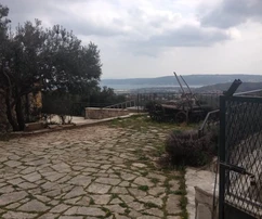 Trogir, Plano, casa de 70 m² en un terreno de 5574 m², olivar con 200 olivos