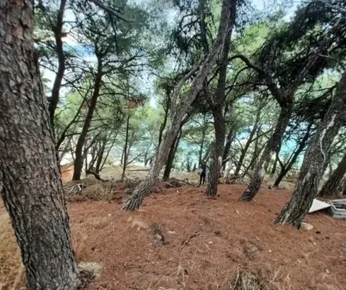 Dugi Rat, Baugrundstück 1160m2, erste Reihe am Meer mit Aussicht