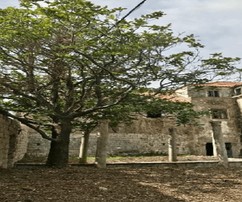 Historická přímořská vila ze 16. století - Dubrovník