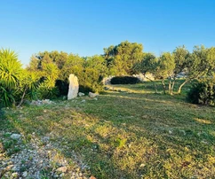 Šolta, Grohote, stavebný pozemok 2850 m2 so stavbou 50 m2, 1 km od mora