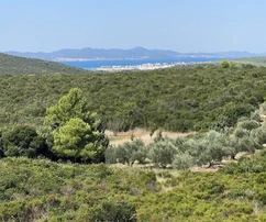 Dalmácia-Zadar - Luxusná vila s bazénom a otvoreným výhľadom na more