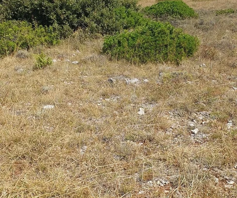 Terrain agricole 3409 m², 12 € / m² Skalinice