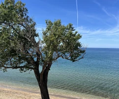 Luxury apartment with pool for sale in Povljana Pag in Croatia