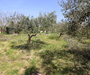 Terreno edificabile vicino al centro di Nin