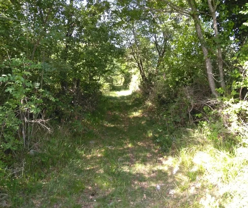 <p>Terrain agricole à vendre à Višnjan, Poreč – idéal pour divers usages&nbsp;!</p>