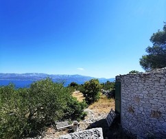 Brac Olive Grove Estate: 19,983 m2 of Serene Land