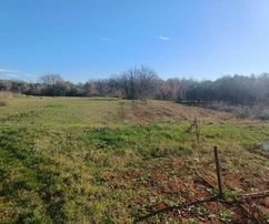 Vabriga, Istrie – Deux excellents terrains à vendre