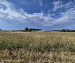 Istria, Kastelir: Agricultural land with forest 24,118 m²