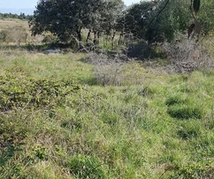 Zastavaná časť stavebnej zóny