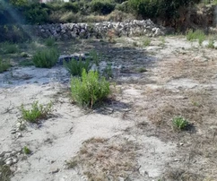 Marina, Vinišće, építési telek 483 m2, 160 m-re a tengertől és a strandtól