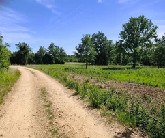 Istria, Poreč: Building land for residential development