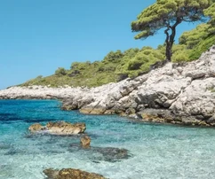 Grundstück am Meer - Insel Šipan, Dubrovnik - 115.539 m²