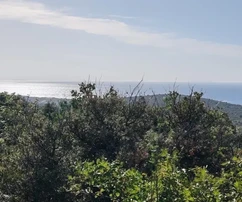 Rogoznica, terrain agricole de 19 000 m², à 900 m de la mer